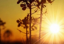 DJ Seycel: “Mystic Whispers” firma su consagración en Beatport